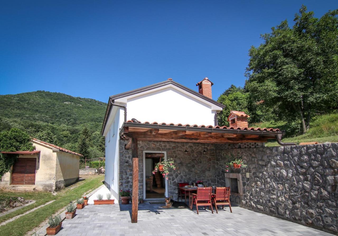 Guest House 'Villa Fani' Veprinac With Jacuzzi Luaran gambar